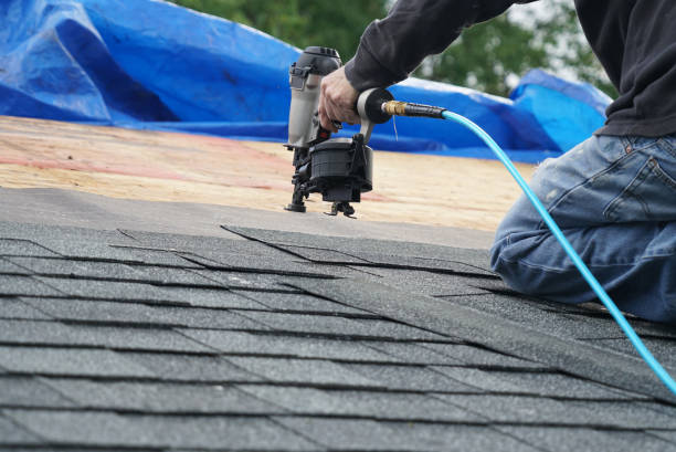 Best Local Roofing Companies  in Alanuk, AK